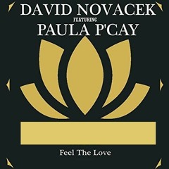 DAVID NOVACEK & PAULA P'CAY- Feel The Love (Original Mix)