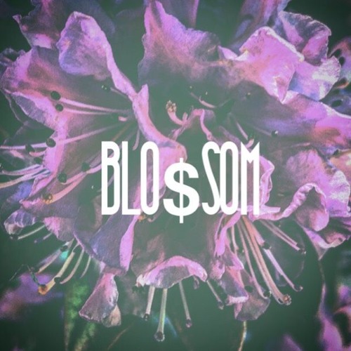 SOBRIETY (Prod. by MyceliumBeats)