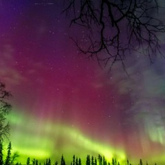 Looking at the stars riddum