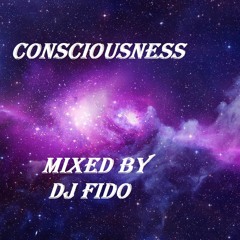 CONSCIOUSNESS  mixed by DJ FIDO