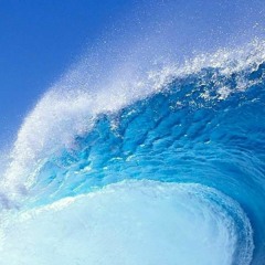 Wild N' Wavy (feat. ABC Melo)