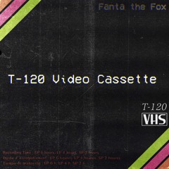 T-120 Video Cassette