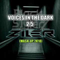 Black Stylerz - Voices In The Dark (Ziler Mash - Up 2k18)
