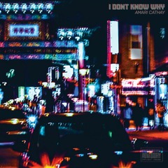 I Don't Know Why (Prod. By Andrew Meoray)