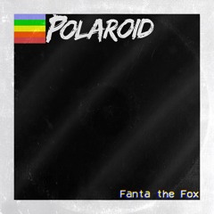 Polaroid