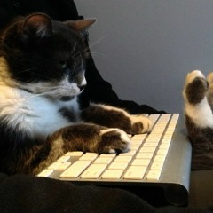 Because I'm a lil salty with my likes Part 2