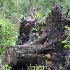 Upward Over The Mountain (feat. Chance)