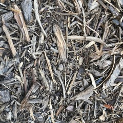 Approaching The Truth