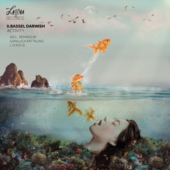 Bassel Darwish - Activity (original Mix)