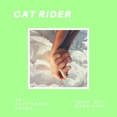 Cat Rider (Little Dragon Cover)