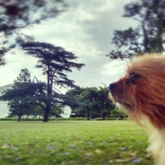 Pablo Vilar - Set Deep Viajerooo