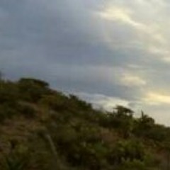 Los Austeros de Durango- Contigo hasta el fin 💙