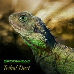 Tribal Dust (Transcenic Remix)
