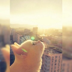 세상이 무너진다면