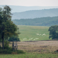 Raghse Derakhta (Ft. Mojtaba Akhavan)