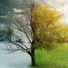 봄 여름 가을 그리고 평화       Spring , summer, fall , and Peace