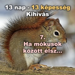 [13nap kihívás] #7 Ha mókusok között élsz, mókusként kell látnod a világot?