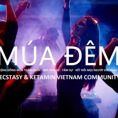 DJ VITIEUBAO - MÚA ĐÊM