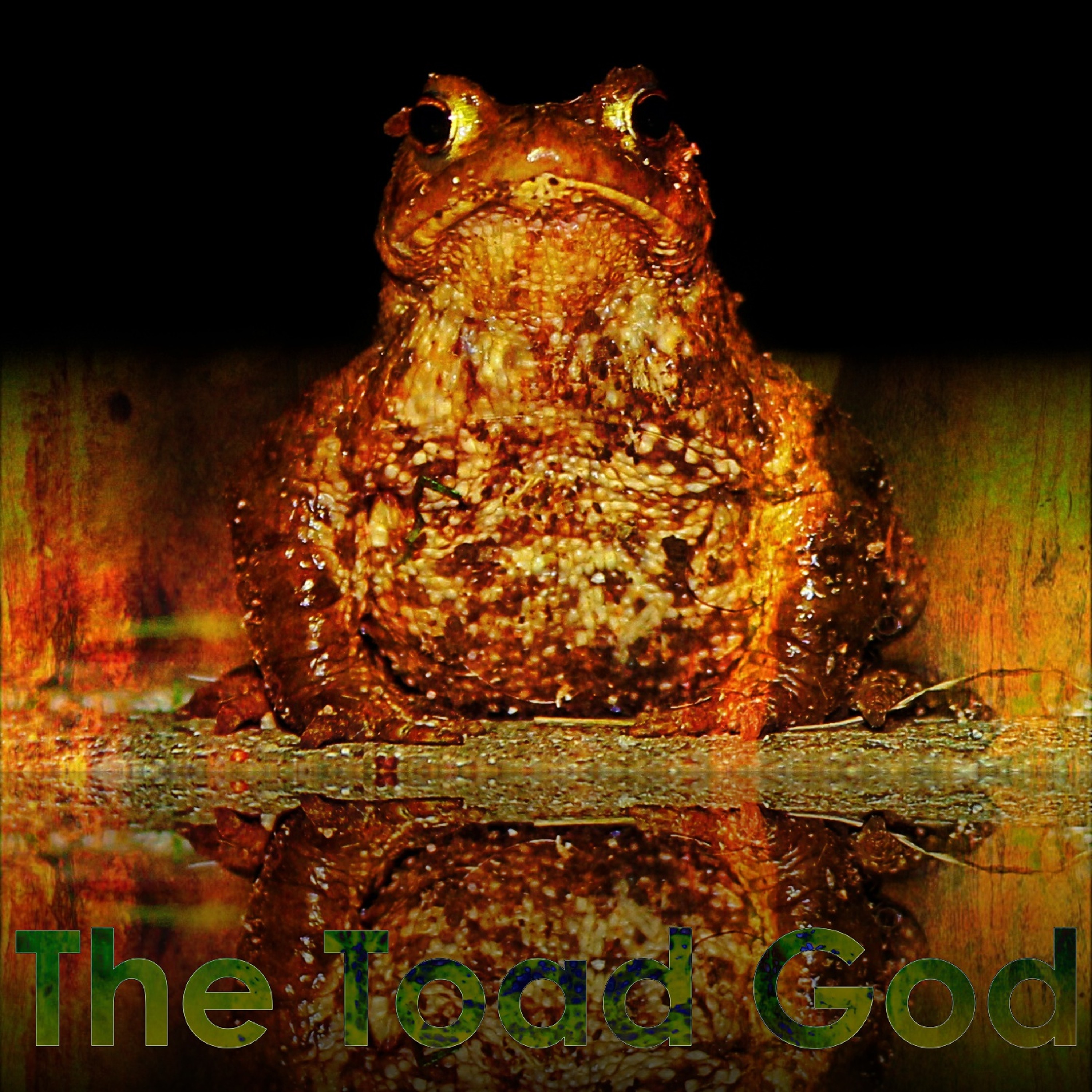 The Toad God episode artwork