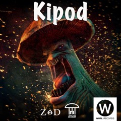 Infected Mushroom - Kipod (ZoD Remix)