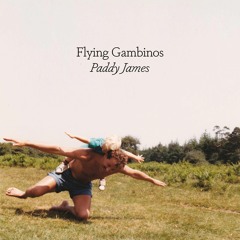 Flying Gambinos
