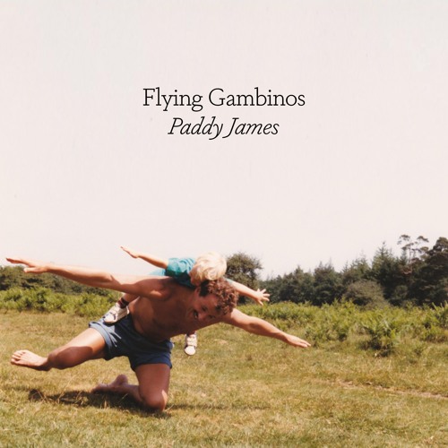 Flying Gambinos