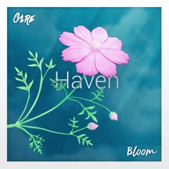 Haven (Original Mix)