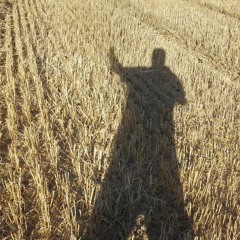 Ostende Nomine Domine Misericordiam Tuam