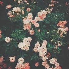 melike şahin - ne ettim sana