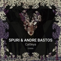 Spuri, Andre Bastos - Cattleya (Original Mix)