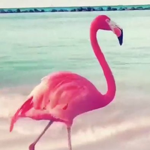 Preparations For Departure