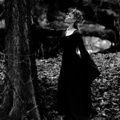 Pleasurekraft Opening Set