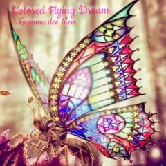 Colored Flying Dream