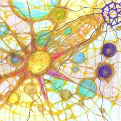 Toly - Anustic (Original)