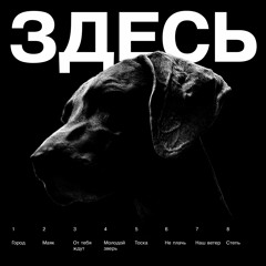 Молодой зверь