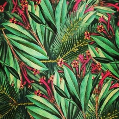 August 2k18 Snippets (prod: Eqmadeit)