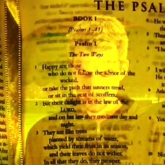 I Embrace The Cold  ft/ Shrey Day