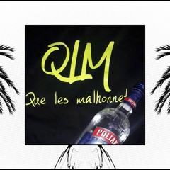 QLM - Tempo ( ANDY MYLER RMX EDIT )