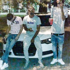 Perky Paradise (600xLUX)