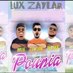 TiiwTiiw - Poupia feat. Naza  Blanka (Lux Zaylar Remix)