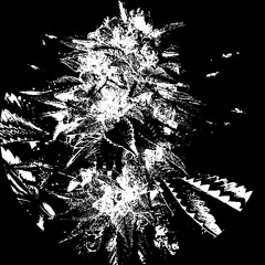 N3gr0 - Black Domina