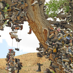 Episode 3: Undefeated for Now