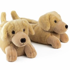 Oh, Them Golden Slippers