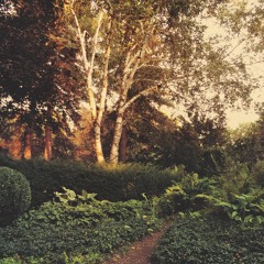 【﻿ｅｐｓ <ｃｈｒｏｎｏｌｏｇｉｃａｌ>】