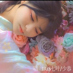 IRiS七葉 - Music 春樱之宴