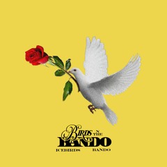 IceBirds & Bando - Big Bales [Prod. HeyJeanPaul]