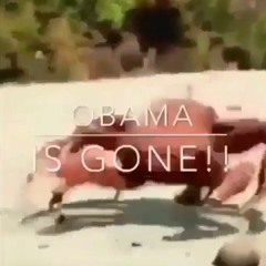 obama is gone