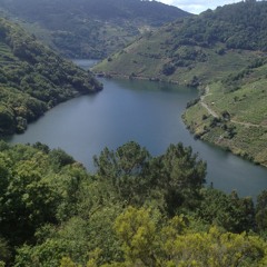 tonglen