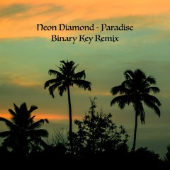 Neon Diamond - Paradise (Binary Key Remix)
