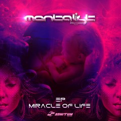 Mentalist - Miracle Of Life (top #15 beatport)